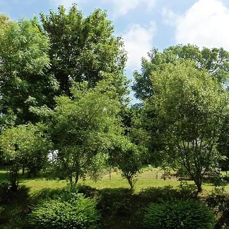 Au Coeur De La Campagne Normande * Ouville